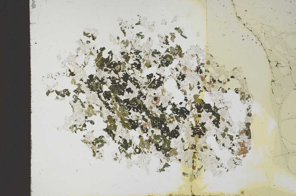 Plane Polarized, S18360