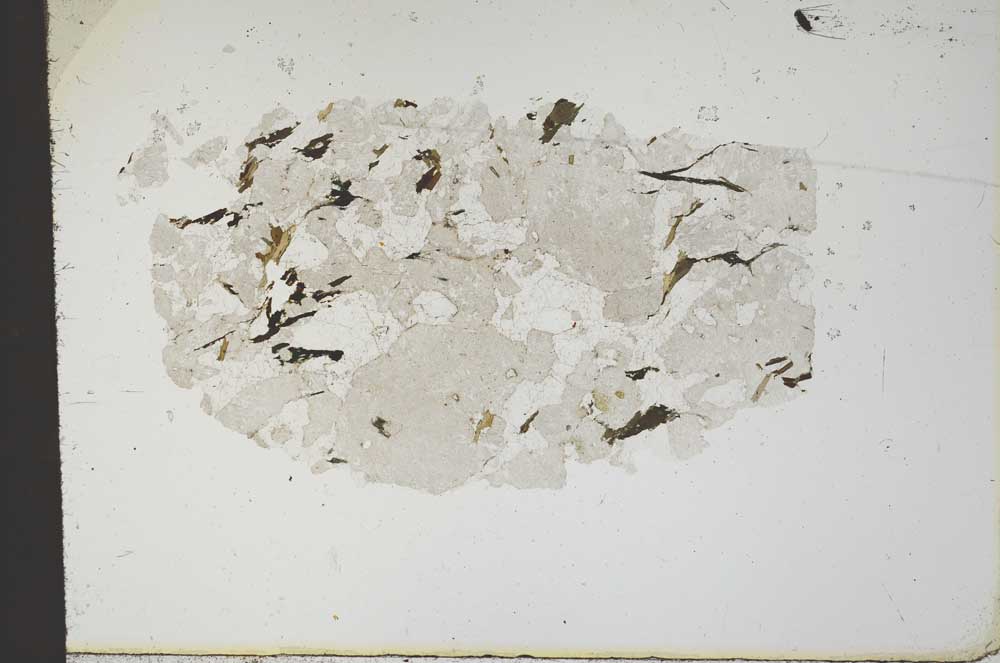 Plane Polarized, S18364