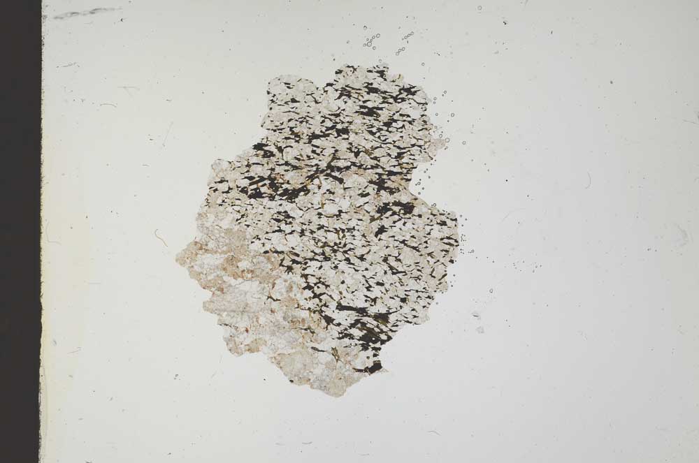 Plane Polarized, S18365