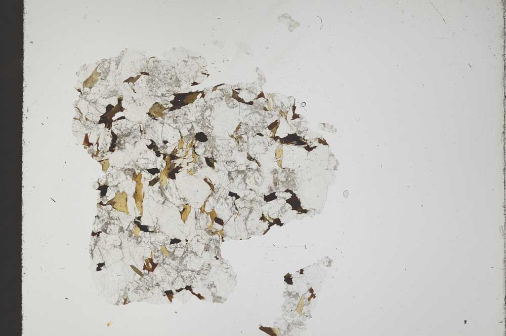 Plane Polarized, S18367