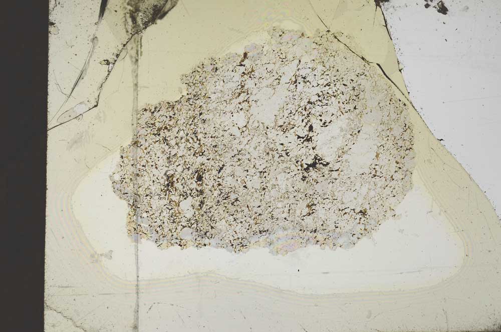 Plane Polarized, S18371