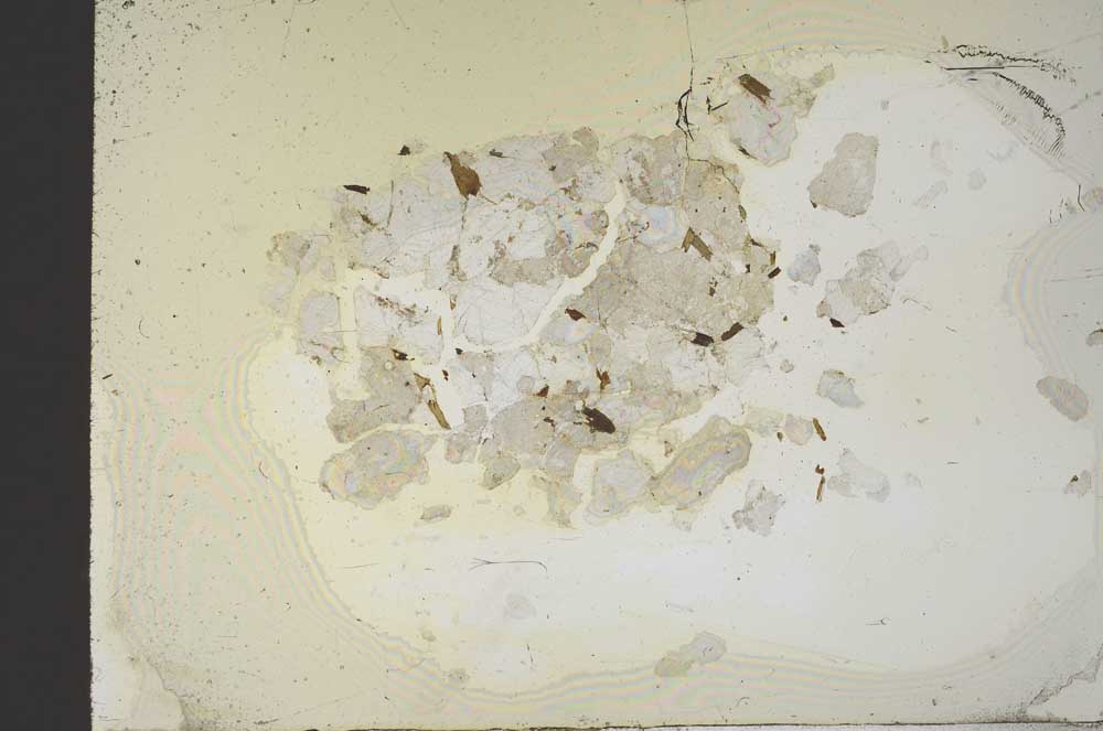 Plane Polarized, S18372