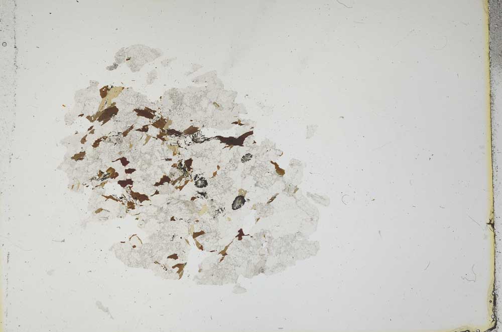 Plane Polarized, S18376