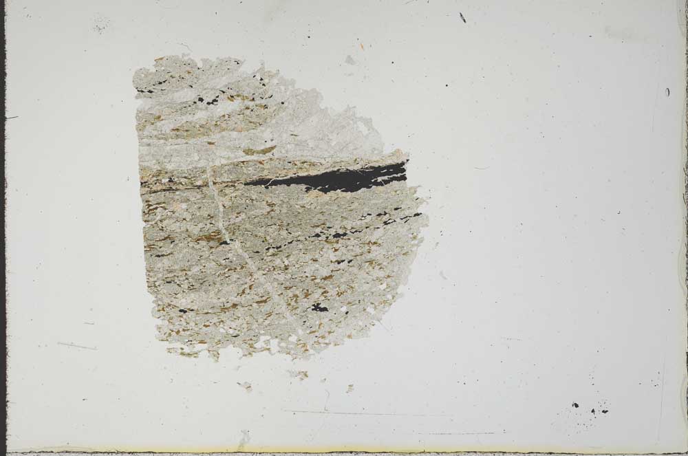 Plane Polarized, S18380