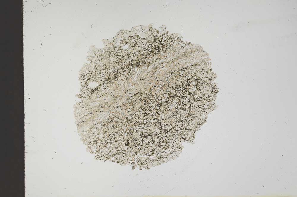 Plane Polarized, S18381