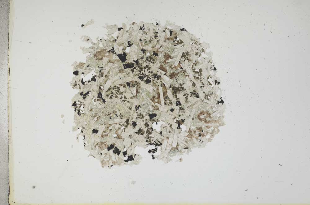 Plane Polarized, S18386