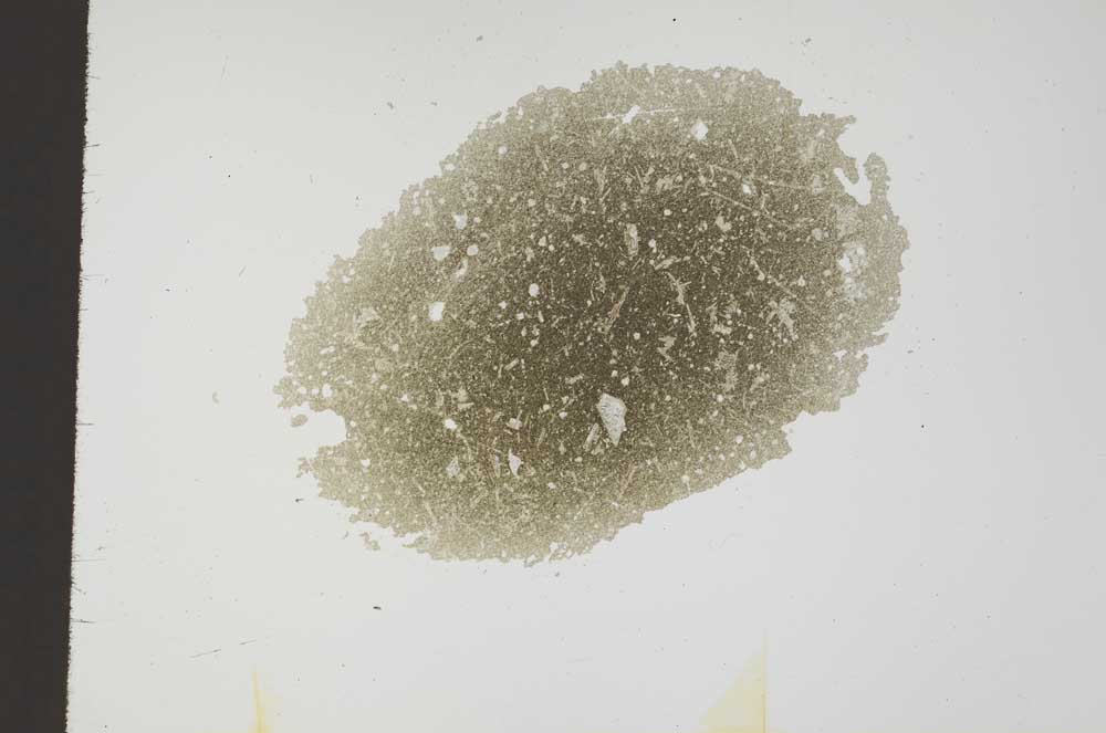 Plane Polarized, S18392