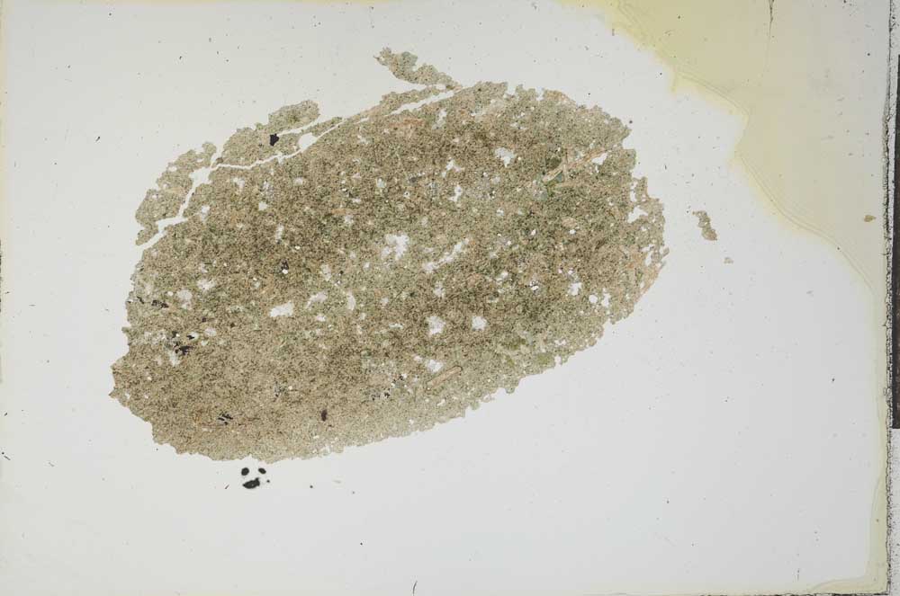Plane Polarized, S18394