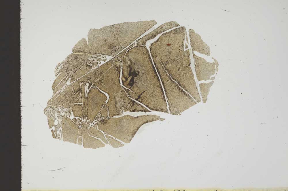 Plane Polarized, S18401