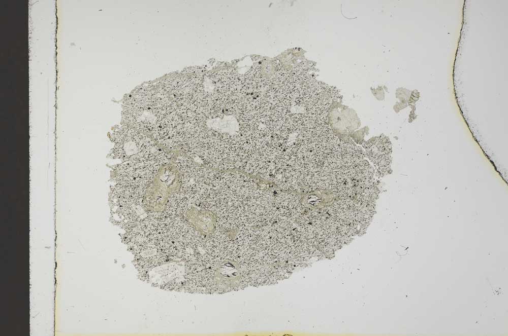 Plane Polarized, S18409