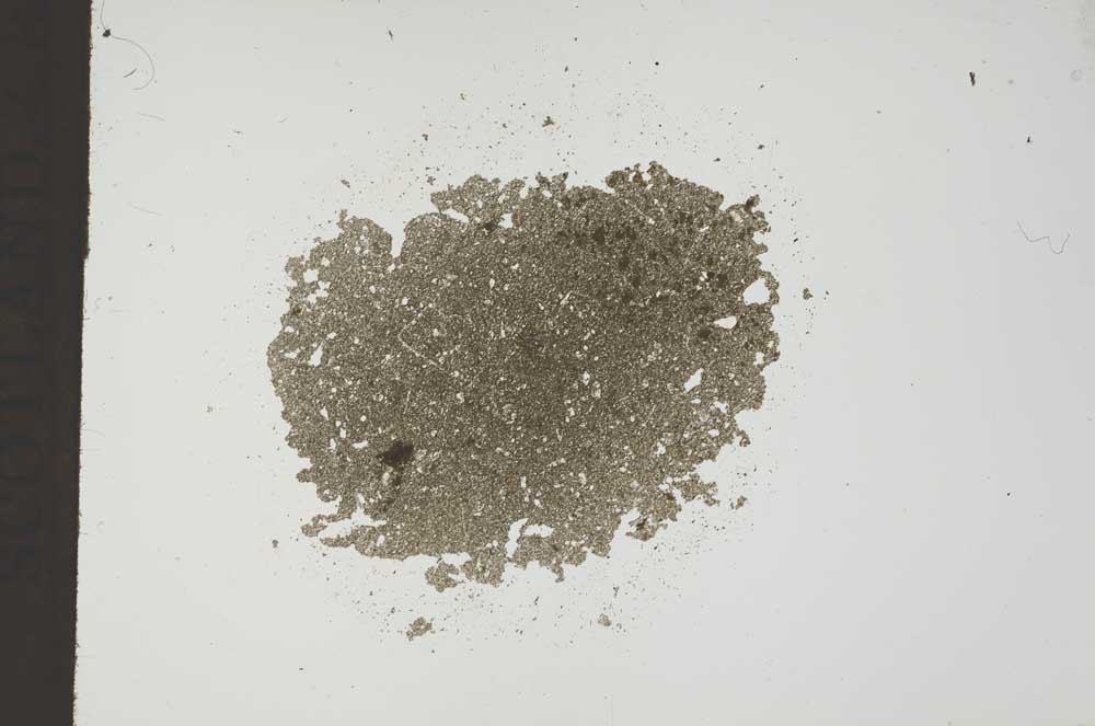 Plane Polarized, S18414