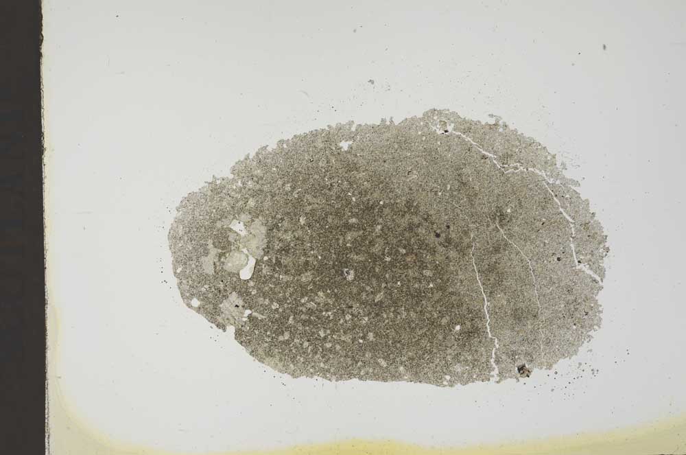 Plane Polarized, S18415