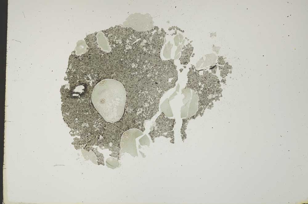 Plane Polarized, S18420
