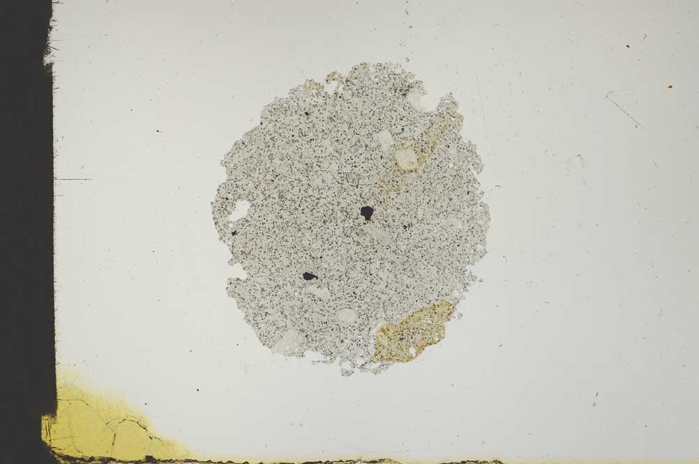Plane Polarized, S18425