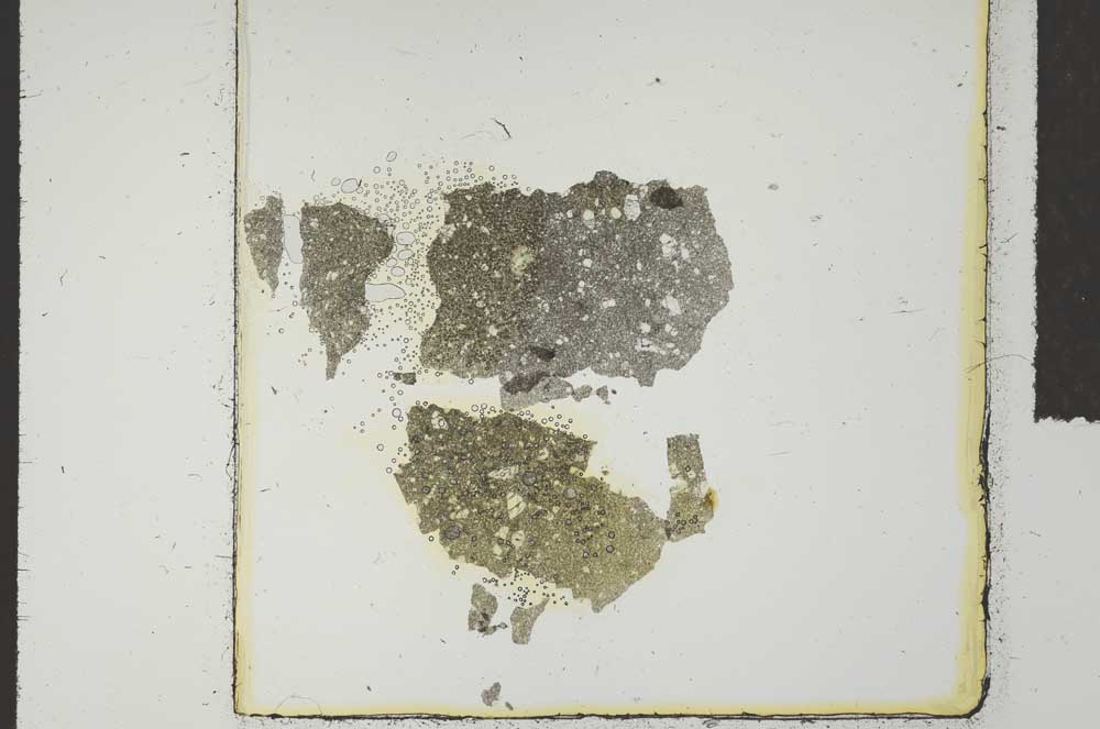 Plane Polarized, S18427