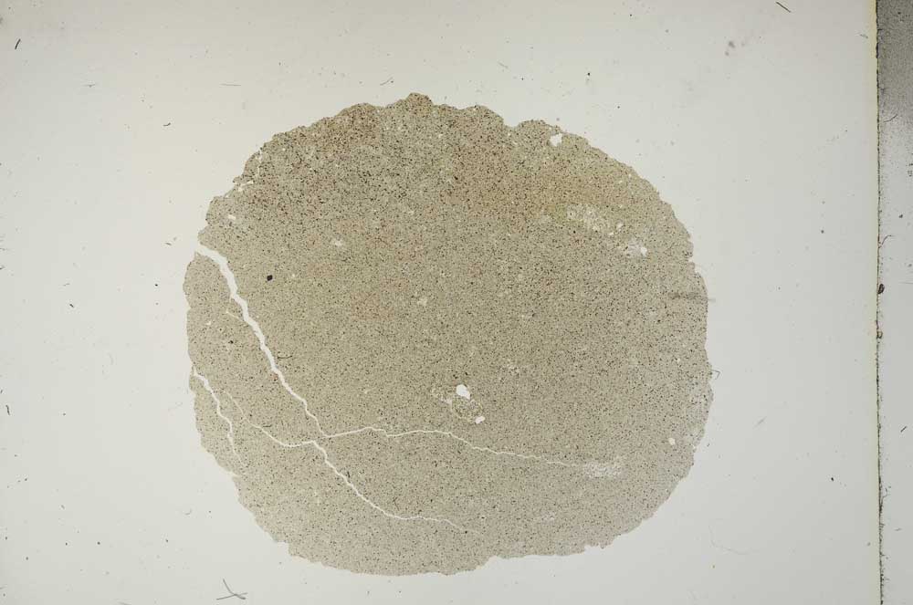 Plane Polarized, S18428