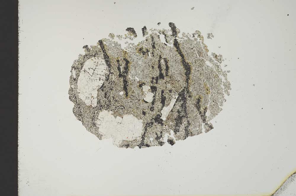 Plane Polarized, S18429