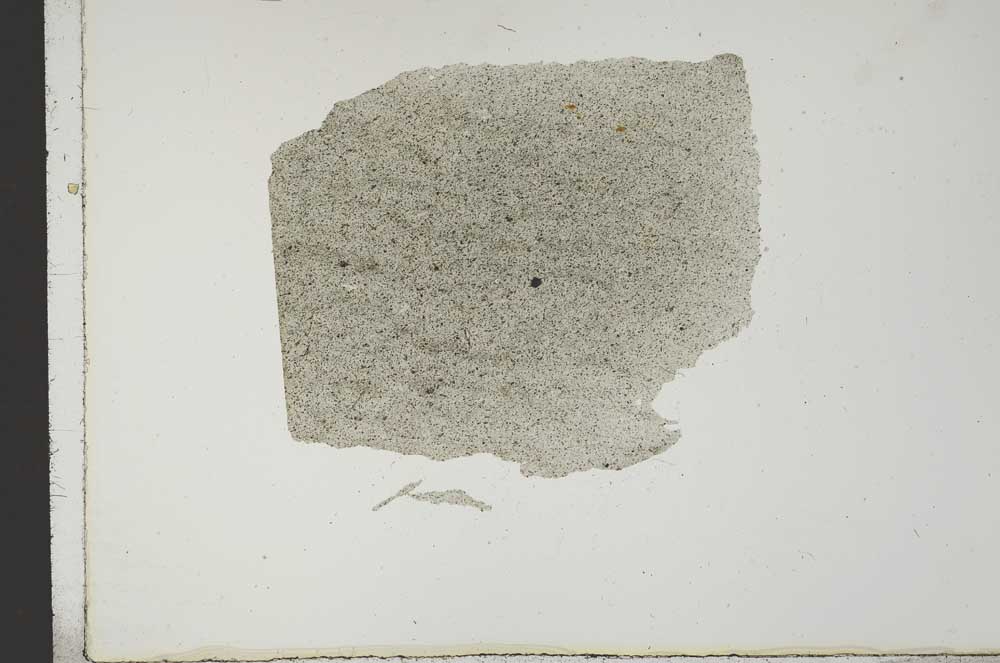 Plane Polarized, S18436