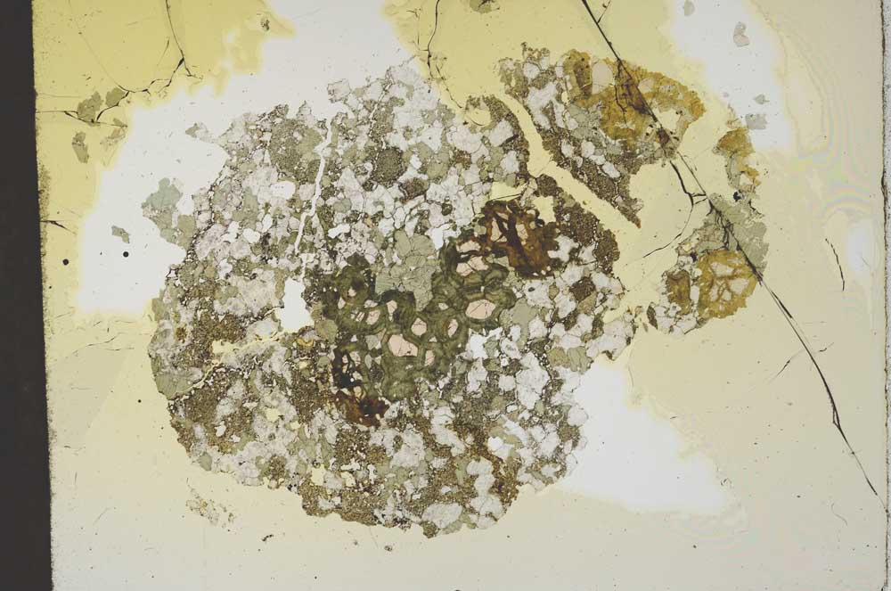 Plane Polarized, S18444