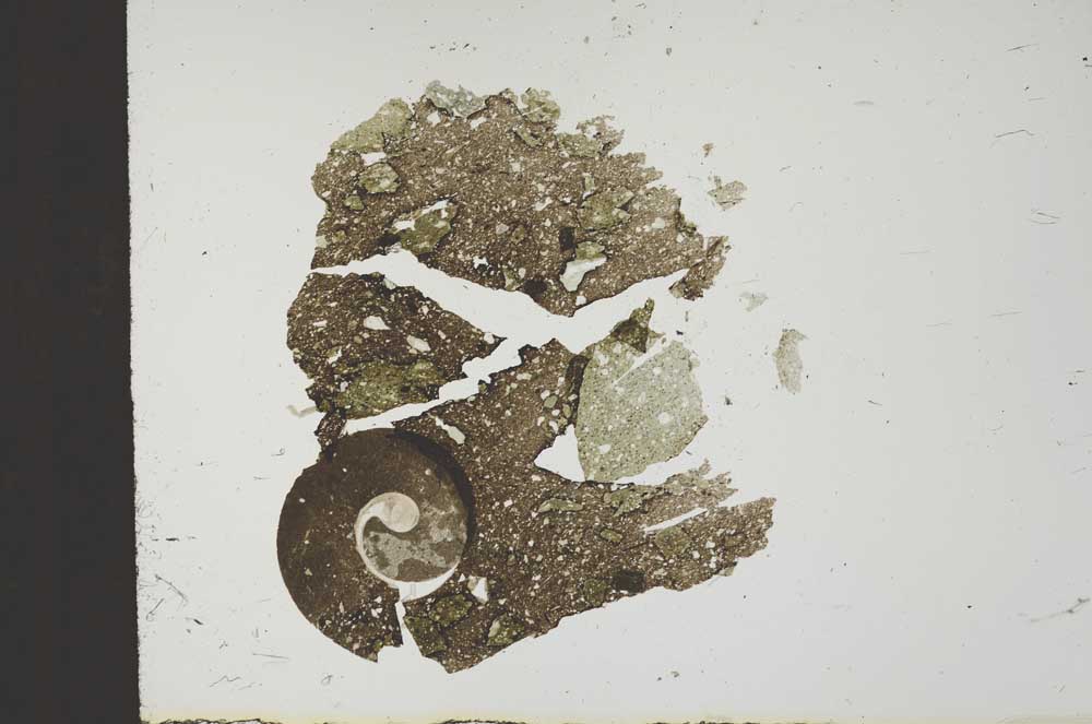 Plane Polarized, S18449