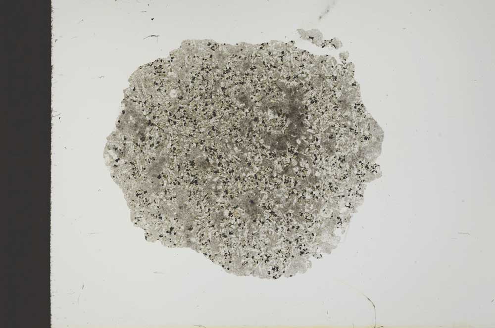 Plane Polarized, S18458