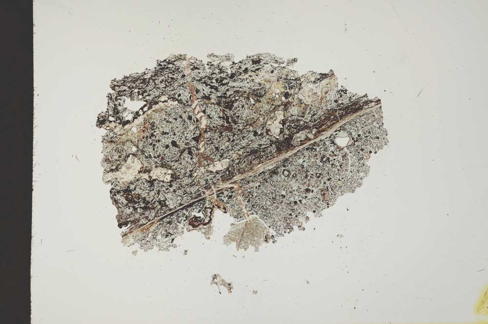 Plane Polarized, S18501