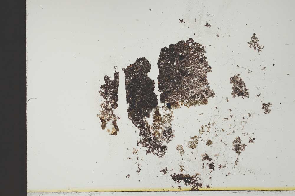 Plane Polarized, S18512