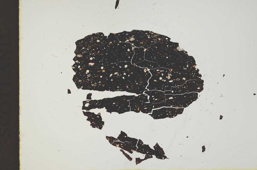 Plane Polarized, S18513