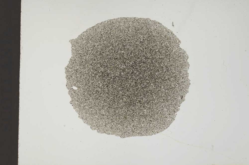 Plane Polarized, S18522