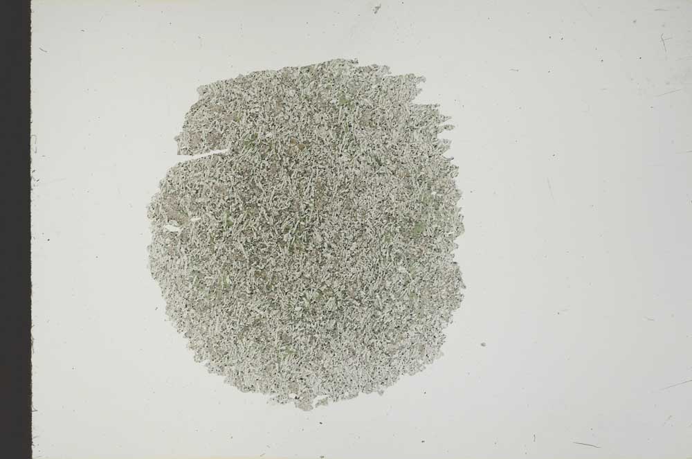 Plane Polarized, S18539