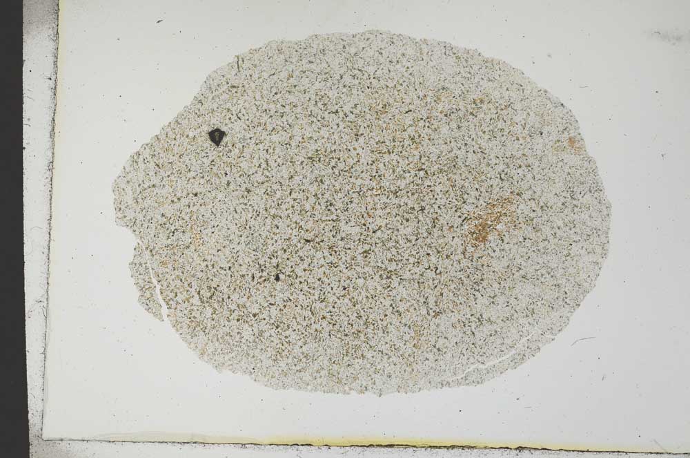 Plane Polarized, S18563