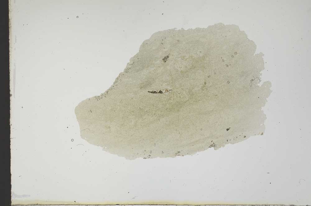 Plane Polarized, S18566