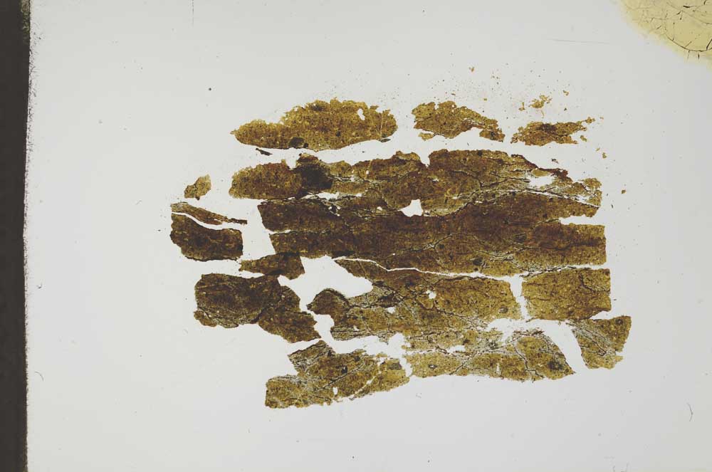 Plane Polarized, S18572