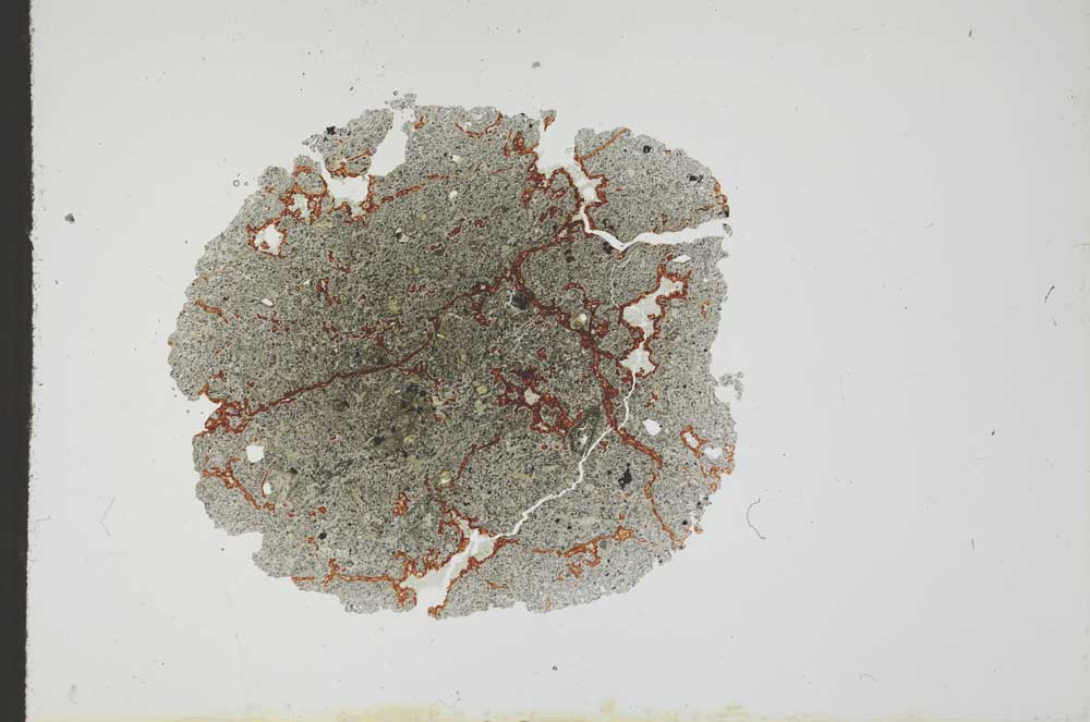 Plane Polarized, S18573