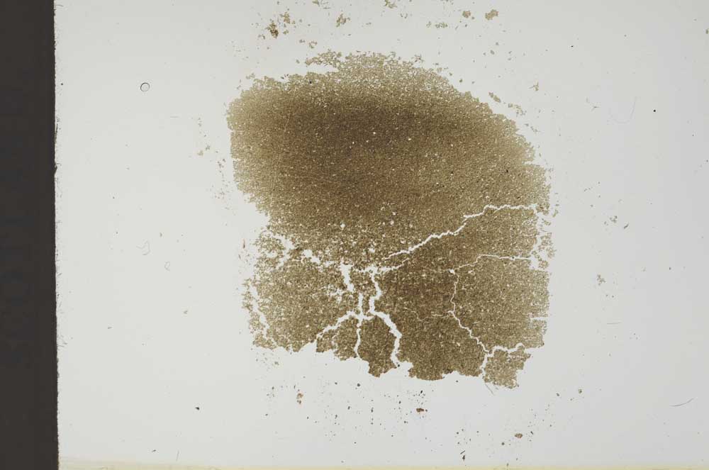 Plane Polarized, S18578