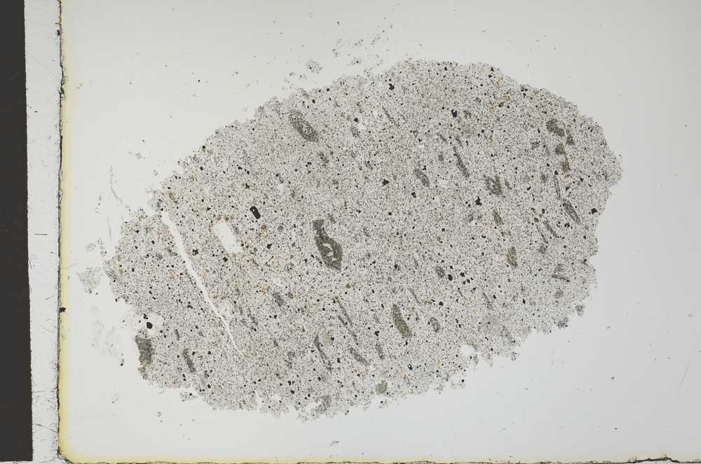 Plane Polarized, S18595