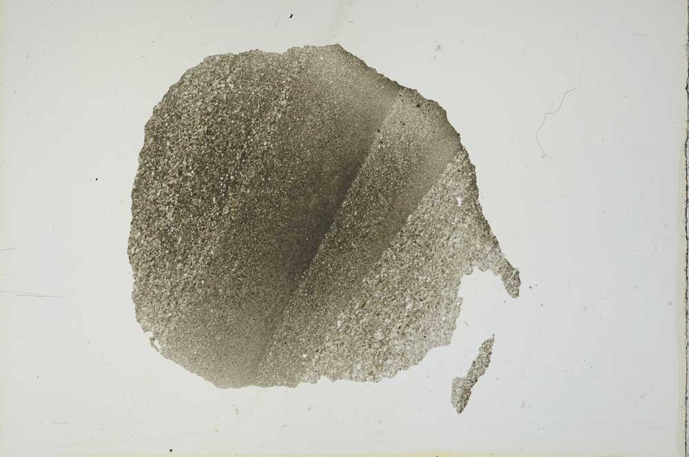 Plane Polarized, S18653