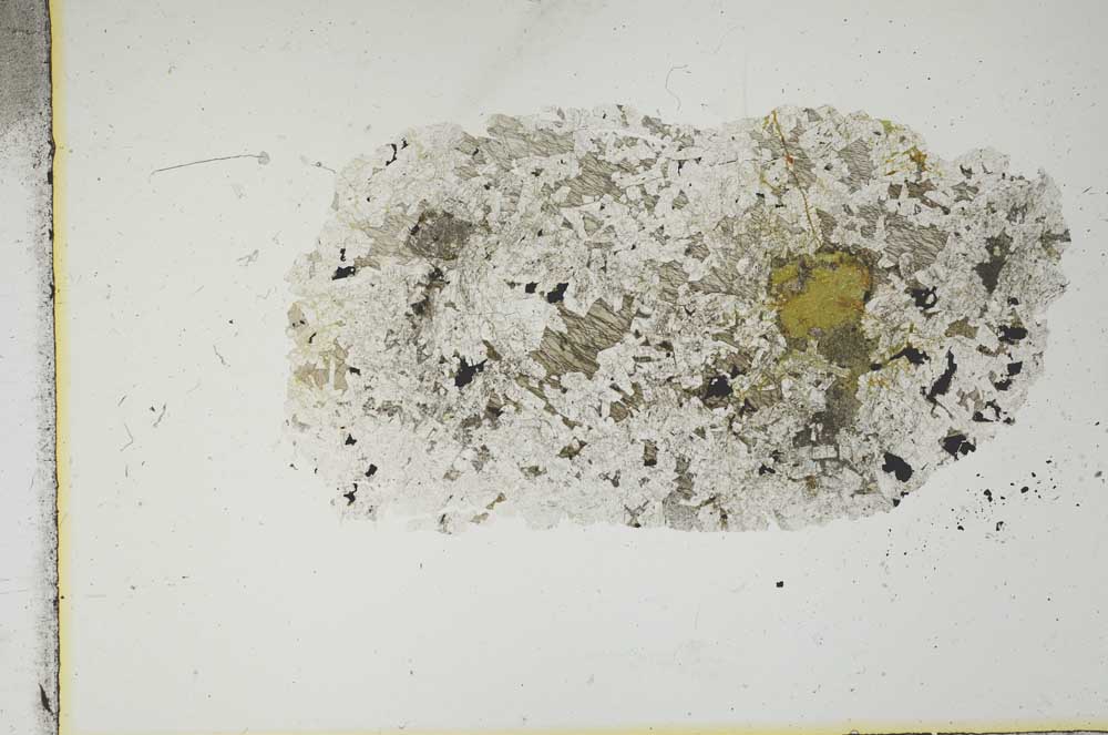 Plane Polarized, S18670