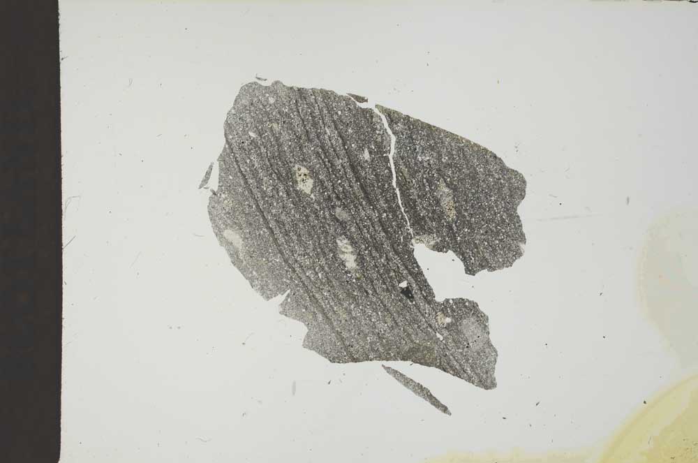 Plane Polarized, S18677