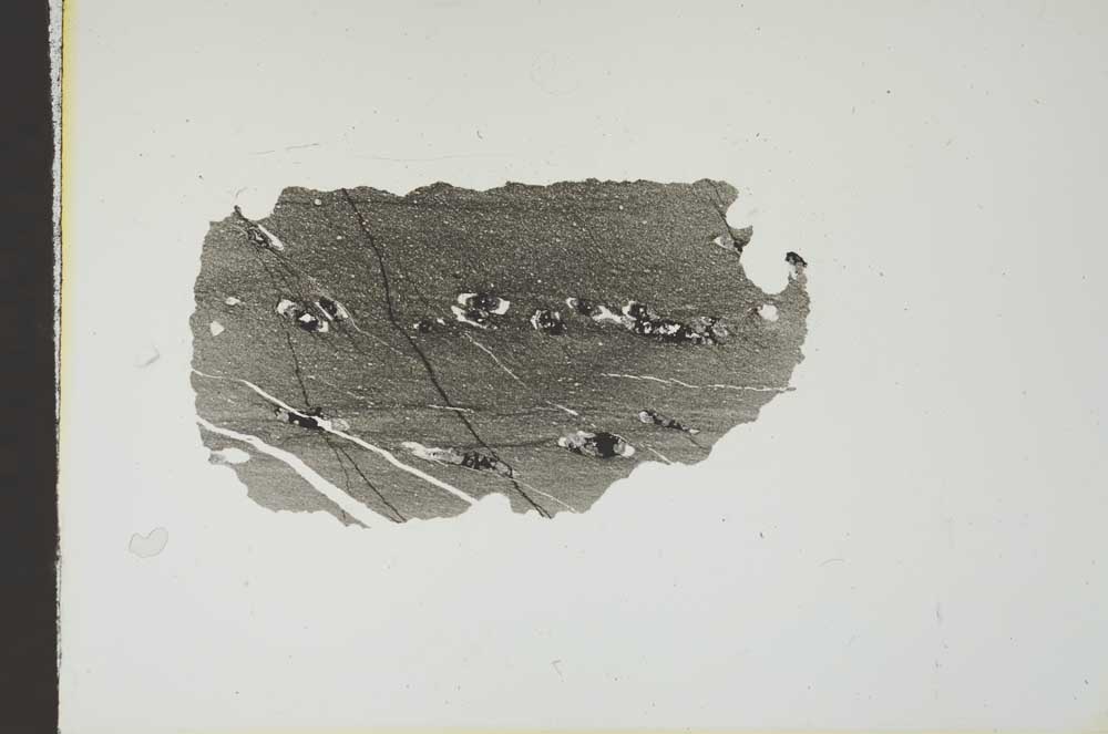 Plane Polarized, S18689