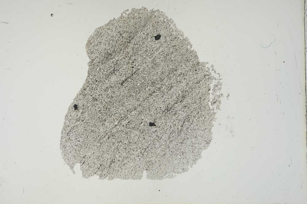 Plane Polarized, S18690