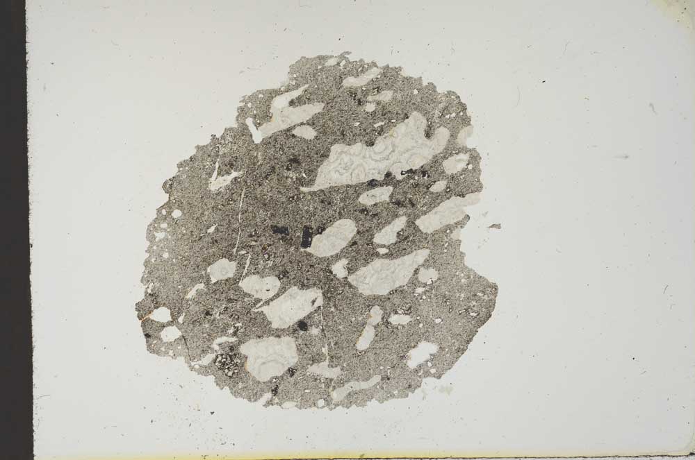 Plane Polarized, S18706