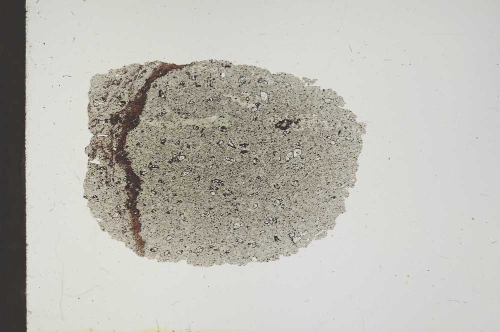 Plane Polarized, S18709