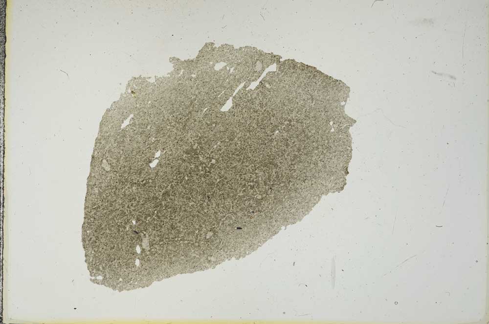 Plane Polarized, S18715