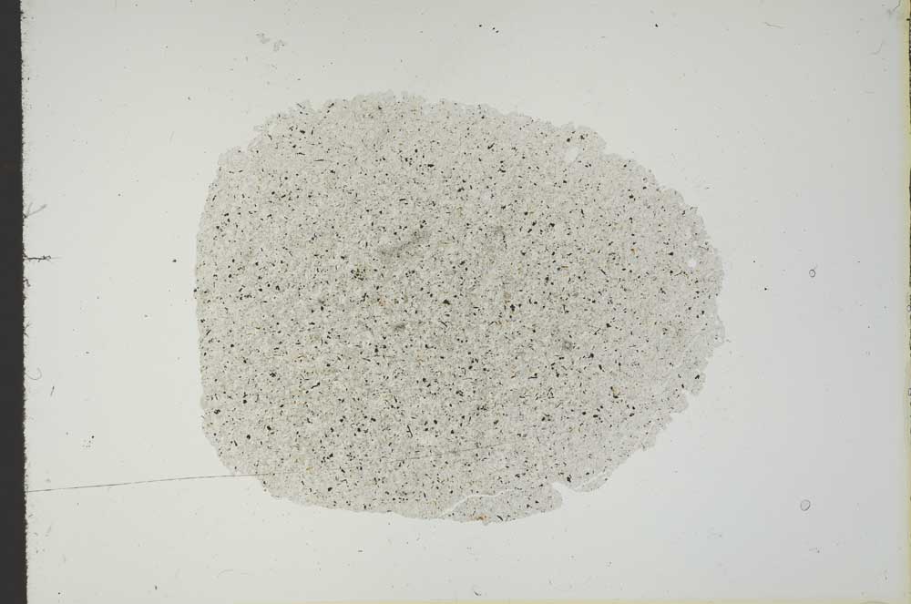 Plane Polarized, S18718