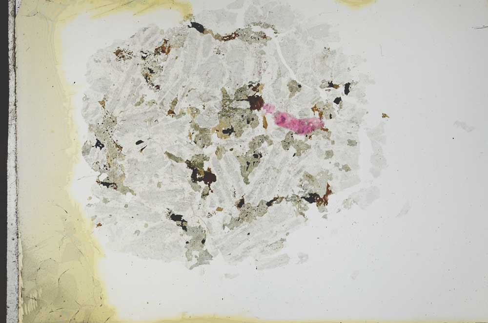 Plane Polarized, S18761