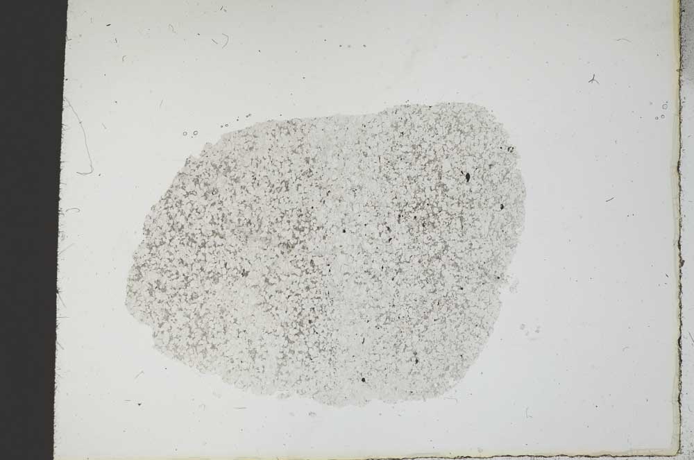 Plane Polarized, S18769