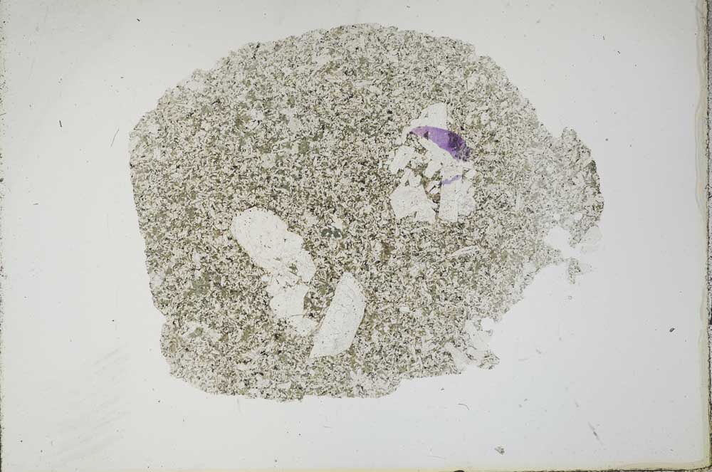 Plane Polarized, S18770