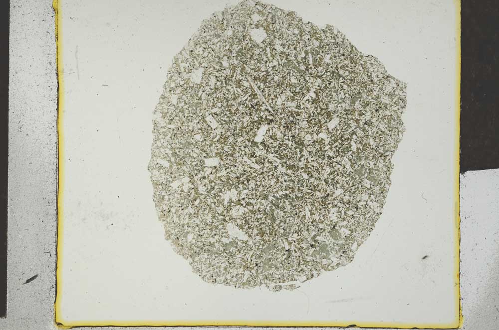 Plane Polarized, S18770/A