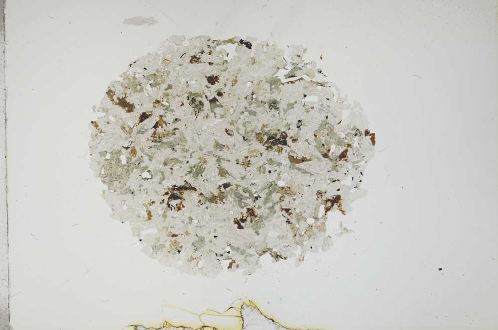 Plane Polarized, S18771